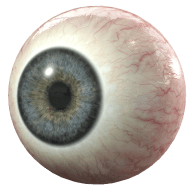 Realistic human eyeball with a blue-grey iris and prominent red blood vessels on the white sclera.