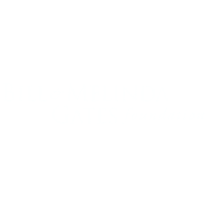 Bill & Melinda Gates foundation