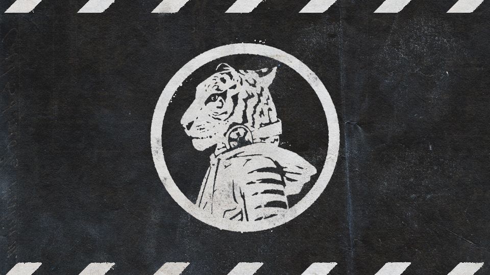 Delivering Mavericks Playlist's Social Token